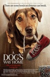 A Dog's Way Home (2019) BluRay 480p & 720p