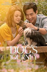 A Dog's Journey (2019) BluRay 480p & 720p
