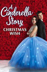 A Cinderella Story: Christmas Wish (2019) BluRay 480p & 720p
