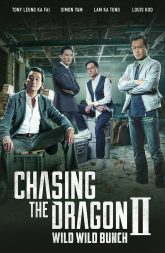 Chasing the Dragon II: Wild Wild Bunch (2019) BluRay 480p, 720p & 1080p